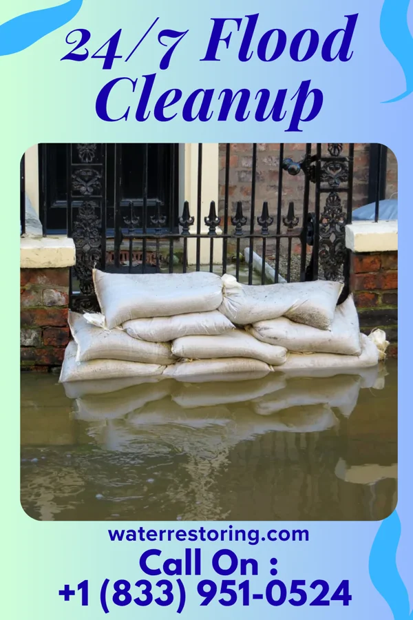 24/7 Flood Cleanup in Olinda, HI