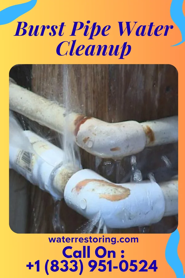 Burst Pipe Water Cleanup in Olinda, HI