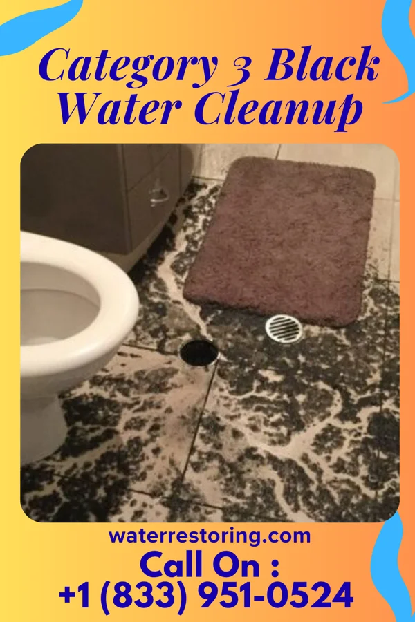 Category 3 Black Water Cleanup in Olinda, HI