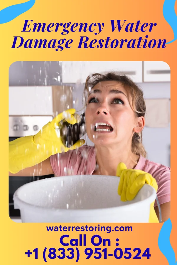 Emergency Water Damage Restoration in Olinda, HI