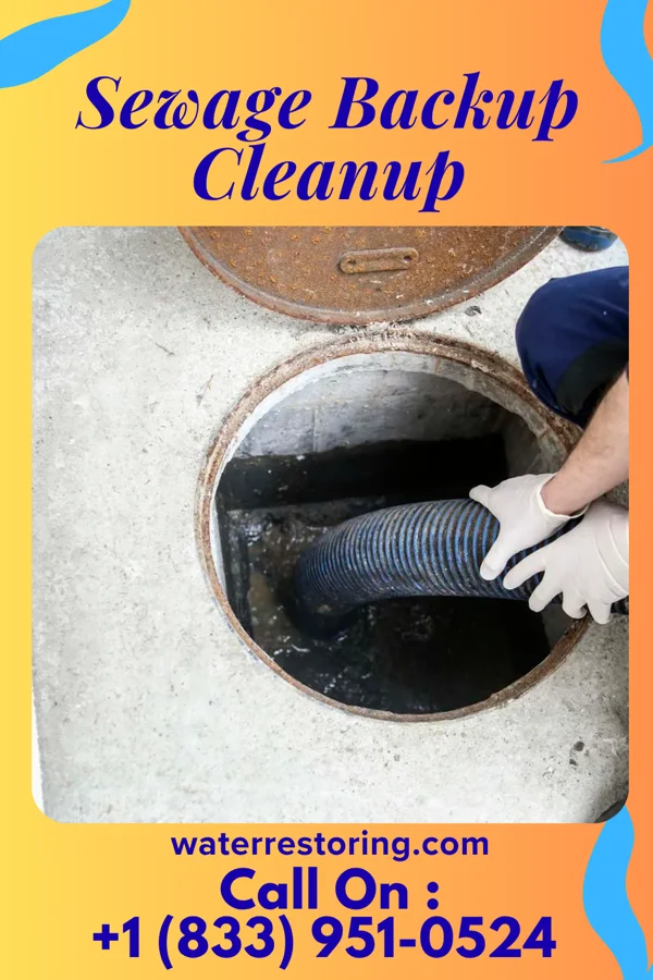 Sewage Backup Cleanup in Olinda, HI