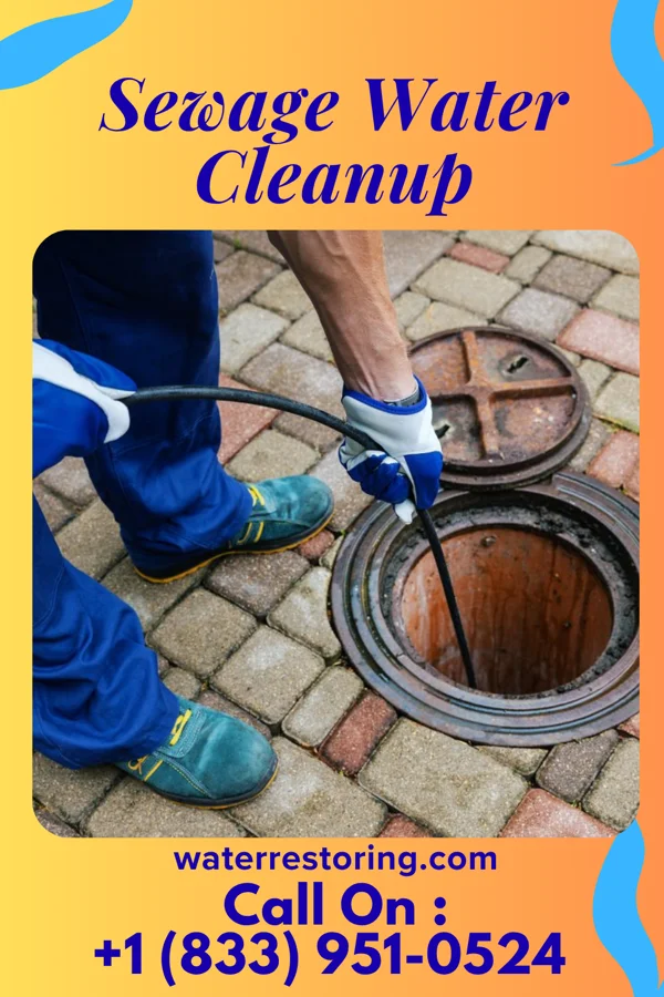 Sewage Water Cleanup in Olinda, HI
